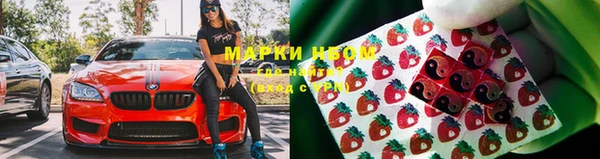 амф Новокубанск