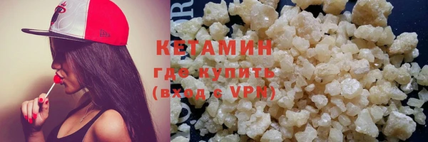 шишки Каменногорск