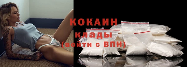 СК Новозыбков