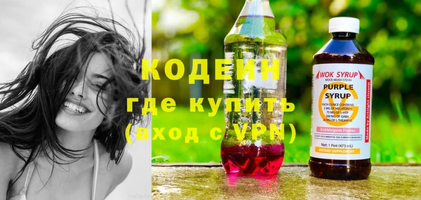 шишки Каменногорск